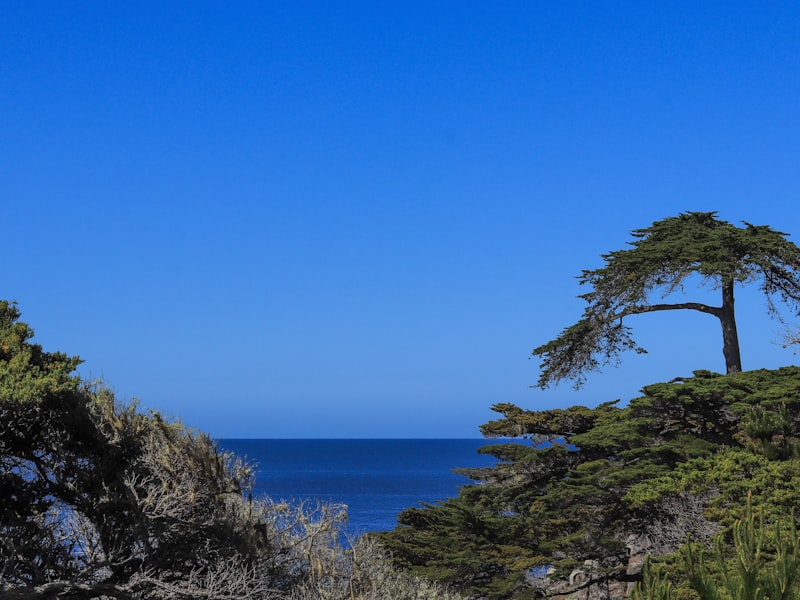 Carmel-by-the-Sea