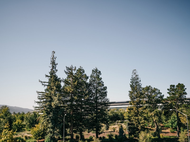Cupertino