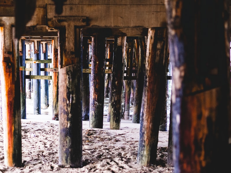 Santa Cruz
